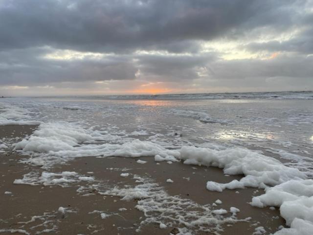 Zeebedstay Noordwijk Exteriér fotografie