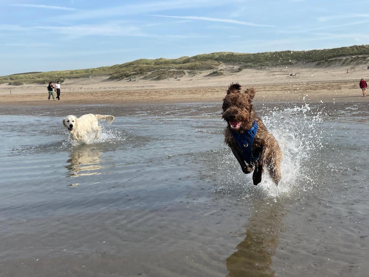 Zeebedstay Noordwijk Exteriér fotografie