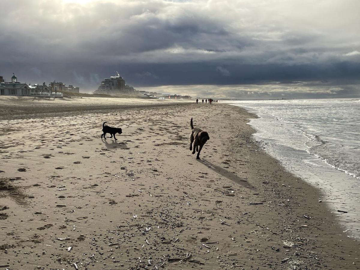 Zeebedstay Noordwijk Exteriér fotografie